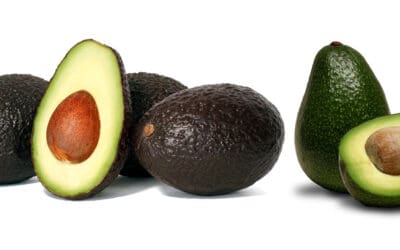 Unraveling the Tremendous Health Benefits of Avocados